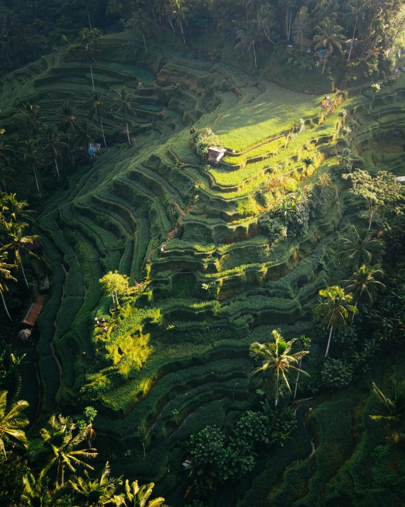 Ubud, Bali