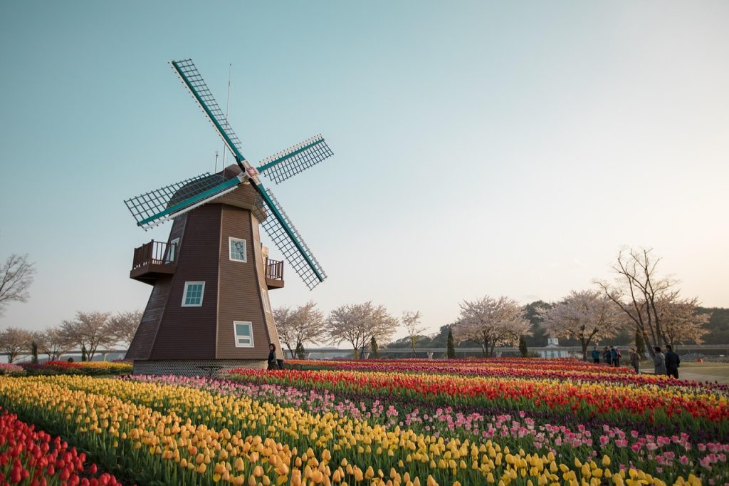Netherlands Travel Guide