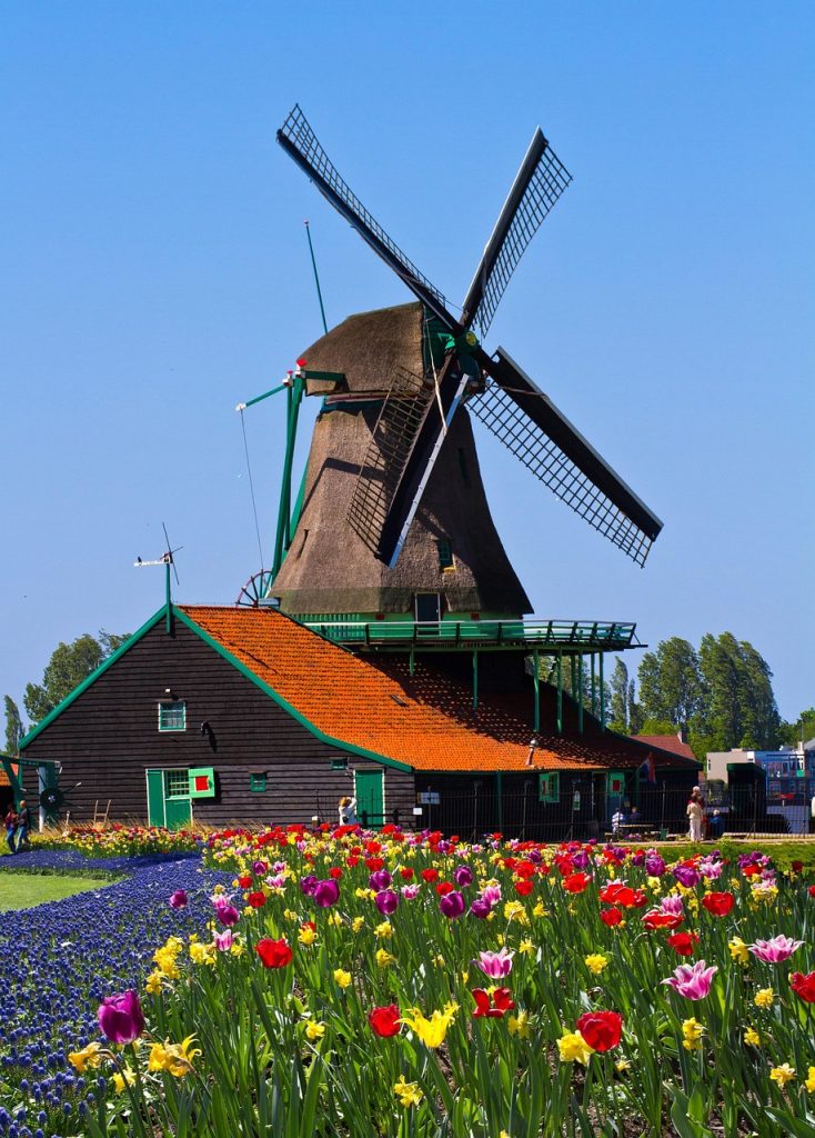 windmill, nature, netherlands, garden, europe