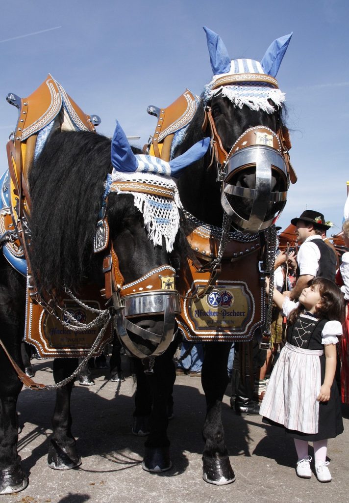 people, costume, parade, man, festival, clothing, horse, oktoberfest, design, fashion, nature, garments